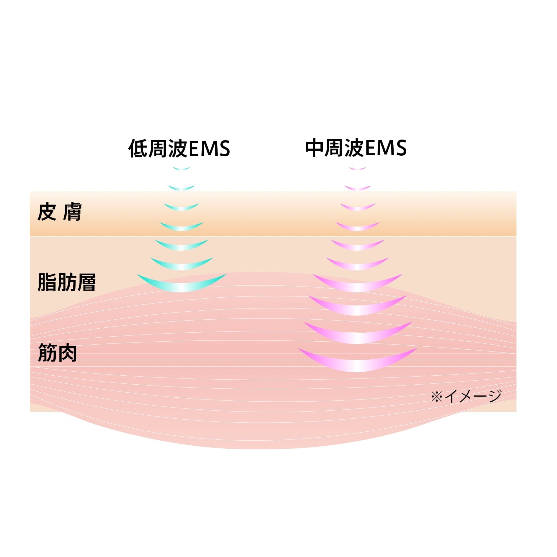 YAMAN MYSE MS-82G Scalp Lift Active Brush 滋養頭皮微電流美容淡紋舒緩按摩梳 ms-82g