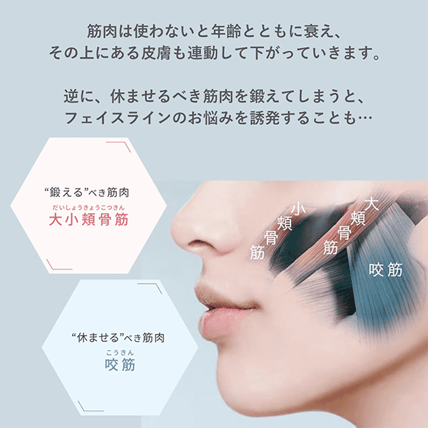 【新款】YAMAN MediLift Aqua EX  防水吃雞面罩 EPM20TB
